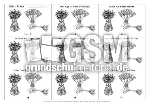 Domino-Stilles-Reifen-Morgenstern-SW.pdf